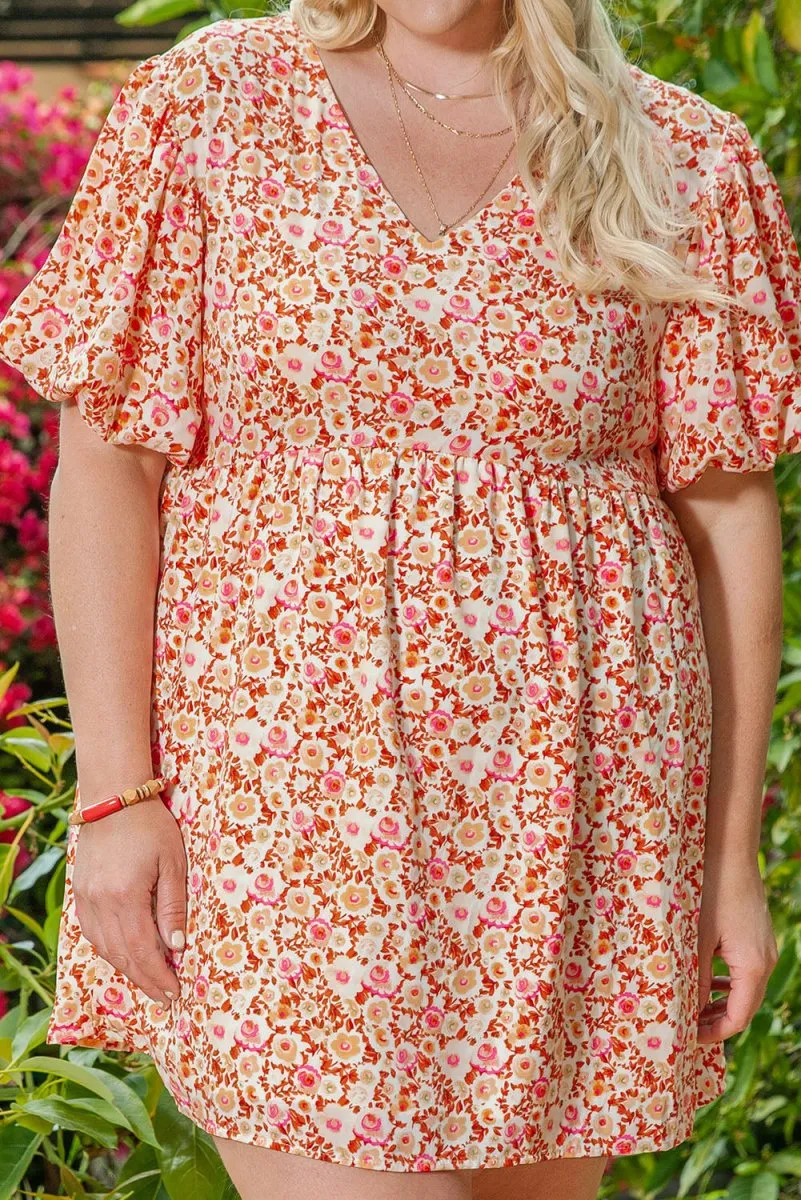 Diane Multicolor Plus Size Floral Dress