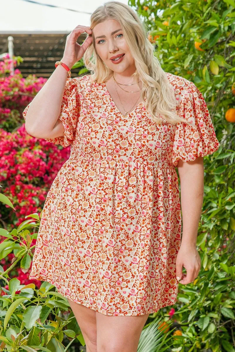 Diane Multicolor Plus Size Floral Dress