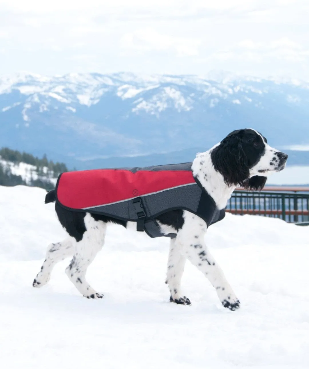 Element™ Waterproof Dog Raincoat Jacket