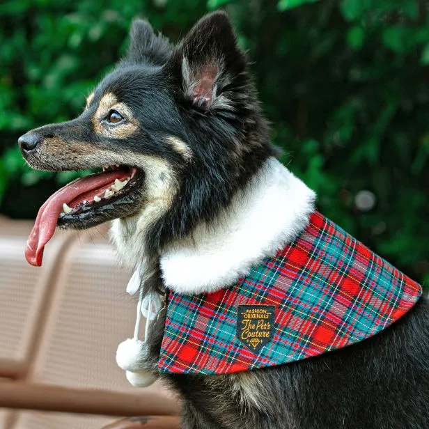 Xmas Cape - White Faux Fur Collar Trench Coat in Red Green Tartan