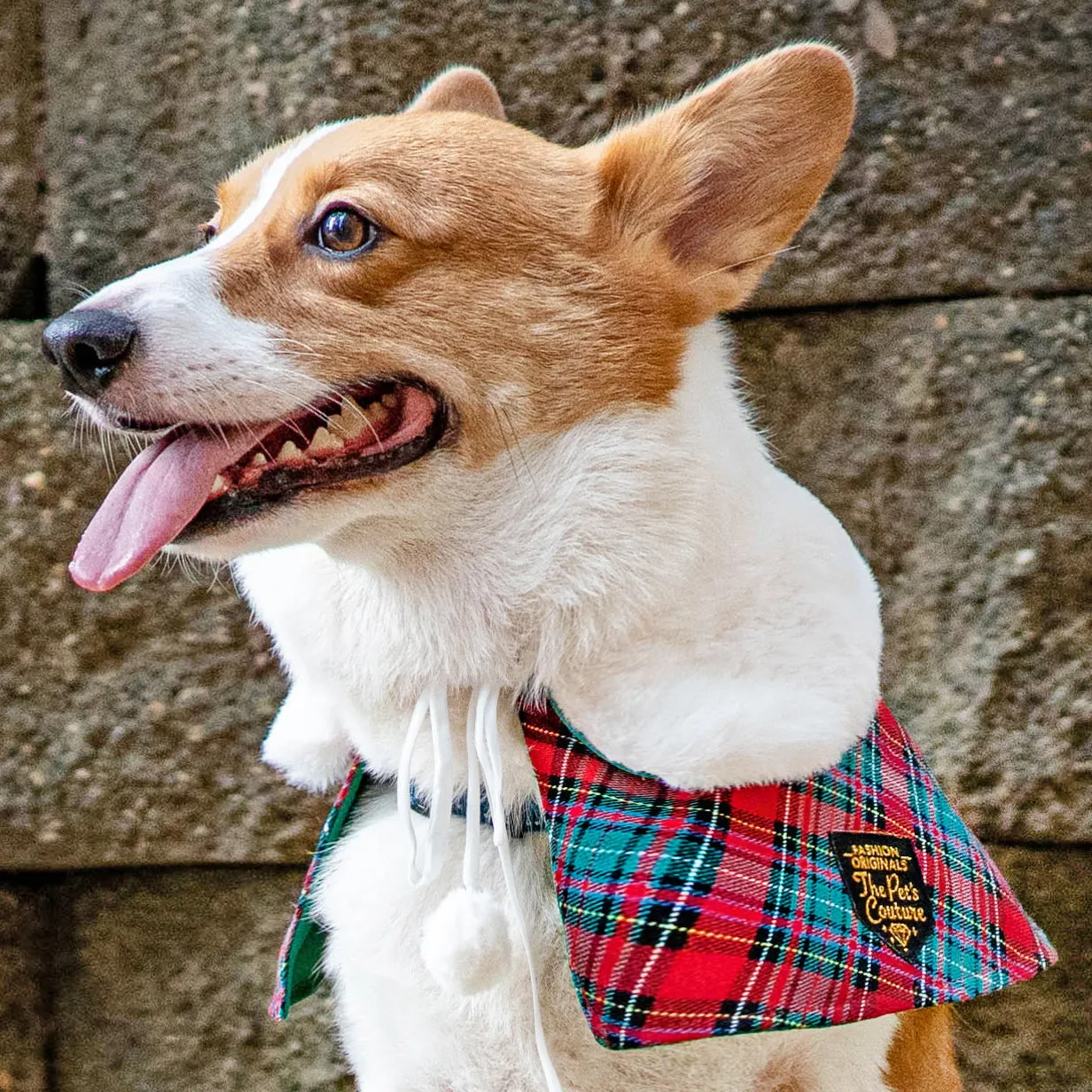 Xmas Cape - White Faux Fur Collar Trench Coat in Red Green Tartan